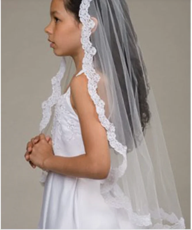 French Alencon Lace Veil Lace Dress Appeal