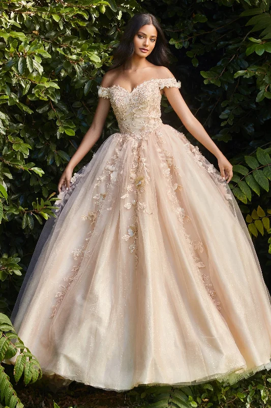 Captivating Ballgown by Cinderella Divine: Enchanting Elegance for Special Occasions Travel unclassified dresses